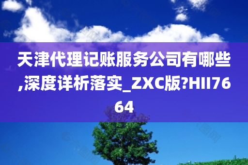 天津代理记账服务公司有哪些,深度详析落实_ZXC版?HII7664