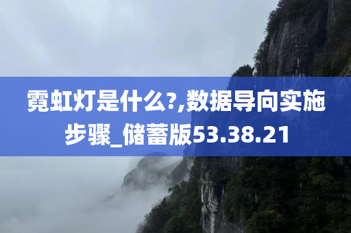 霓虹灯是什么?,数据导向实施步骤_储蓄版53.38.21