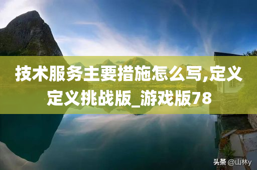 技术服务主要措施怎么写,定义定义挑战版_游戏版78