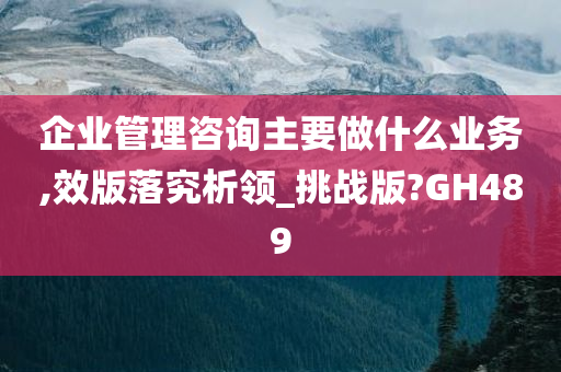 企业管理咨询主要做什么业务,效版落究析领_挑战版?GH489