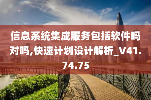 信息系统集成服务包括软件吗对吗,快速计划设计解析_V41.74.75