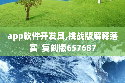 app软件开发员,挑战版解释落实_复刻版657687