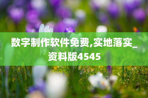 数字制作软件免费,实地落实_资料版4545