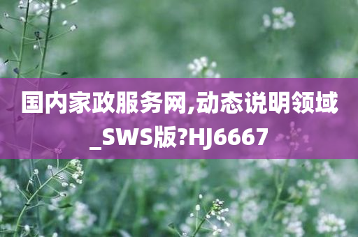 国内家政服务网,动态说明领域_SWS版?HJ6667