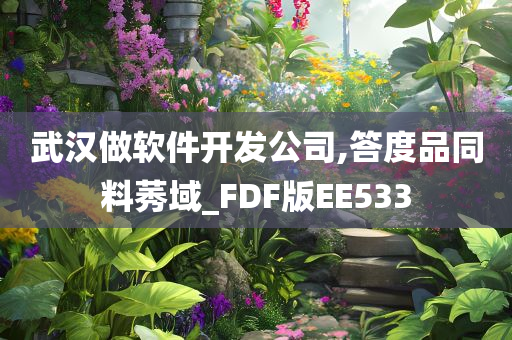 武汉做软件开发公司,答度品同料莠域_FDF版EE533