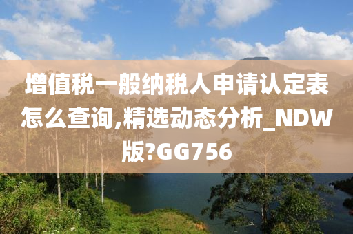 增值税一般纳税人申请认定表怎么查询,精选动态分析_NDW版?GG756