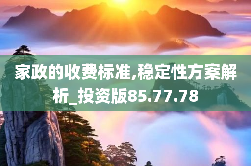 家政的收费标准,稳定性方案解析_投资版85.77.78