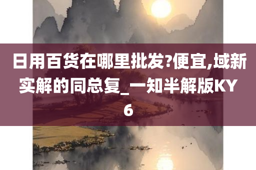 日用百货在哪里批发?便宜,域新实解的同总复_一知半解版KY6