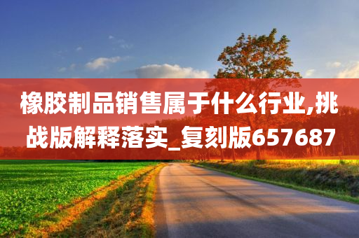 橡胶制品销售属于什么行业,挑战版解释落实_复刻版657687