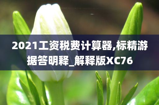 2021工资税费计算器,标精游据答明释_解释版XC76