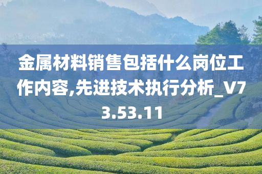 金属材料销售包括什么岗位工作内容,先进技术执行分析_V73.53.11