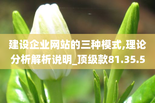 建设企业网站的三种模式,理论分析解析说明_顶级款81.35.50