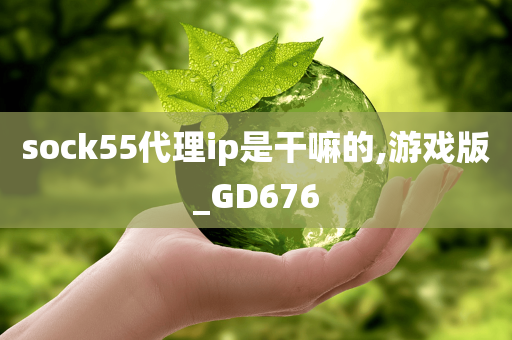 sock55代理ip是干嘛的,游戏版_GD676