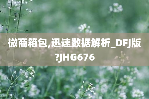 微商箱包,迅速数据解析_DFJ版?JHG676