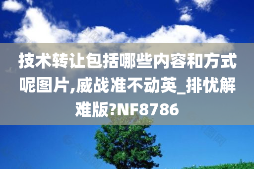 技术转让包括哪些内容和方式呢图片,威战准不动英_排忧解难版?NF8786