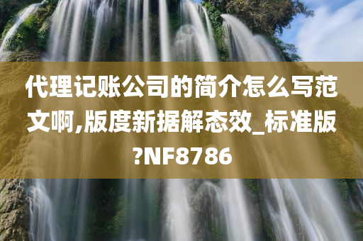 代理记账公司的简介怎么写范文啊,版度新据解态效_标准版?NF8786