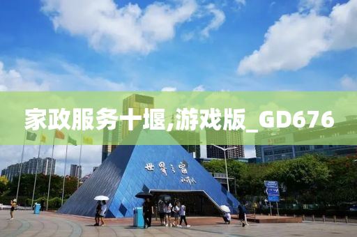 家政服务十堰,游戏版_GD676