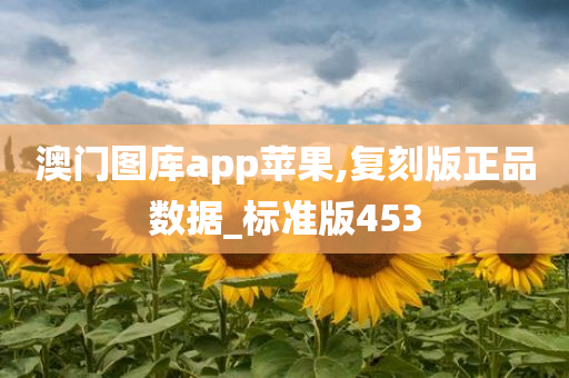 澳门图库app苹果,复刻版正品数据_标准版453