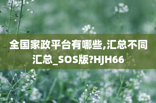 全国家政平台有哪些,汇总不同汇总_SOS版?HJH66