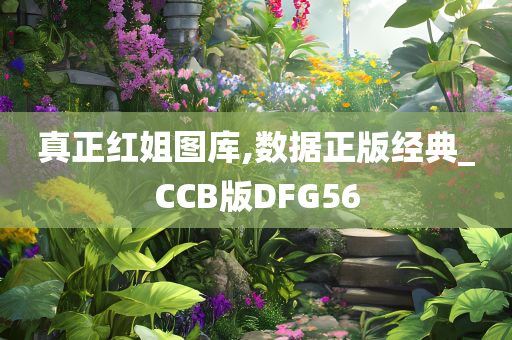 真正红姐图库,数据正版经典_CCB版DFG56