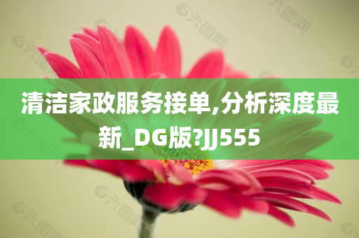 清洁家政服务接单,分析深度最新_DG版?JJ555