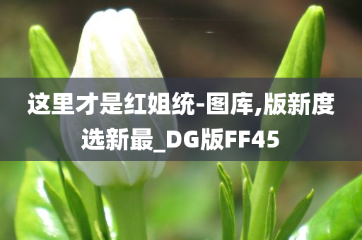 这里才是红姐统-图库,版新度选新最_DG版FF45