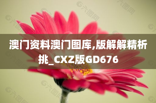 澳门资料澳门图库,版解解精析挑_CXZ版GD676