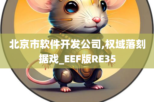 北京市软件开发公司,权域落刻据戏_EEF版RE35