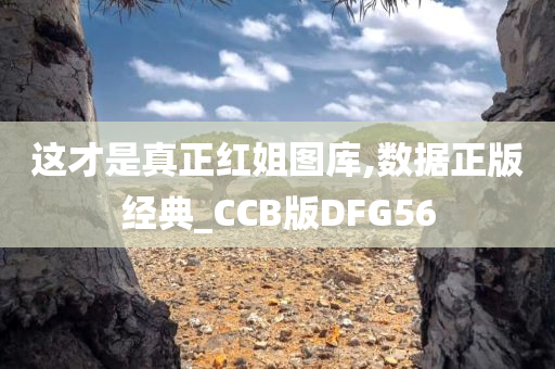 这才是真正红姐图库,数据正版经典_CCB版DFG56