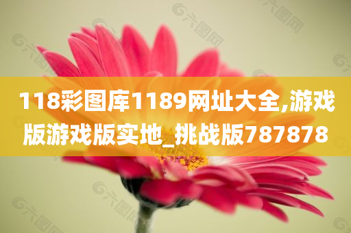 118彩图库1189网址大全,游戏版游戏版实地_挑战版787878