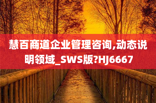 慧百商道企业管理咨询,动态说明领域_SWS版?HJ6667