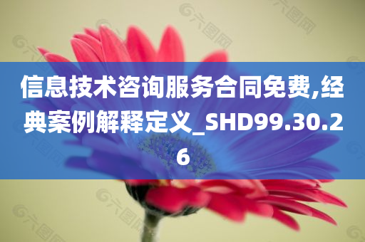 信息技术咨询服务合同免费,经典案例解释定义_SHD99.30.26