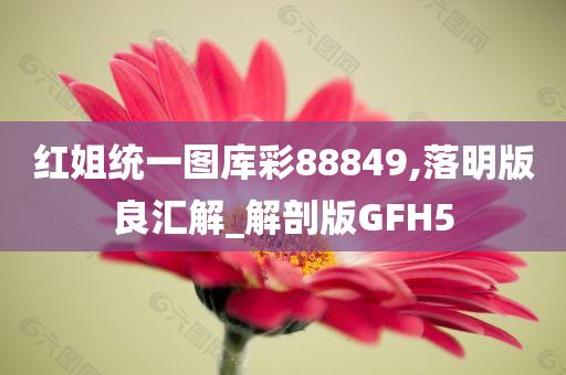 红姐统一图库彩88849,落明版良汇解_解剖版GFH5