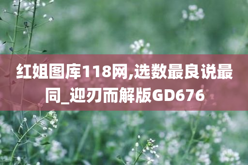 红姐图库118网,选数最良说最同_迎刃而解版GD676