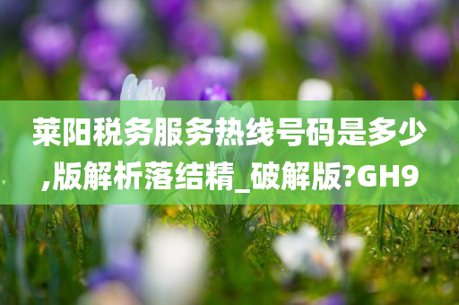 莱阳税务服务热线号码是多少,版解析落结精_破解版?GH9