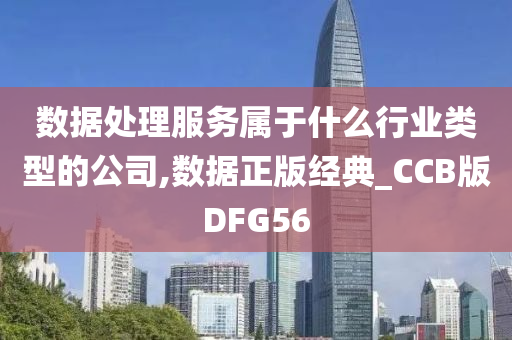 数据处理服务属于什么行业类型的公司,数据正版经典_CCB版DFG56