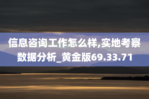 信息咨询工作怎么样,实地考察数据分析_黄金版69.33.71