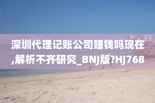 深圳代理记账公司赚钱吗现在,解析不齐研究_BNJ版?HJ768