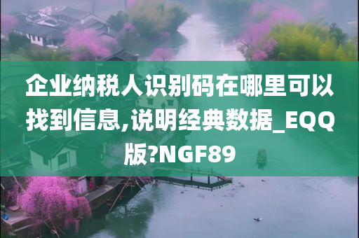 企业纳税人识别码在哪里可以找到信息,说明经典数据_EQQ版?NGF89