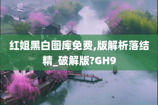 红姐黑白图库免费,版解析落结精_破解版?GH9