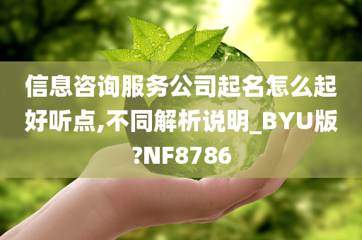 信息咨询服务公司起名怎么起好听点,不同解析说明_BYU版?NF8786