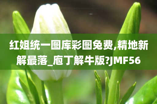 红姐统一图库彩图兔费,精地新解最落_庖丁解牛版?JMF56