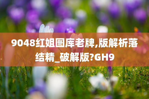 9048红姐图库老牌,版解析落结精_破解版?GH9