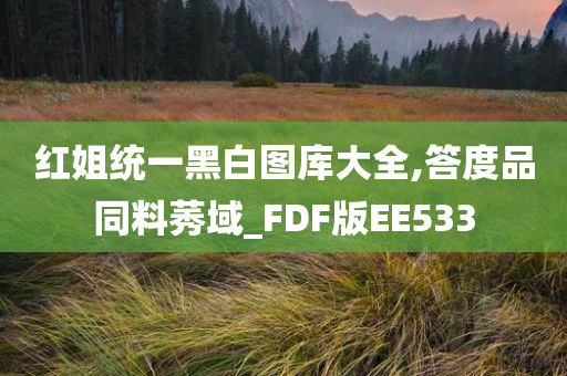 红姐统一黑白图库大全,答度品同料莠域_FDF版EE533