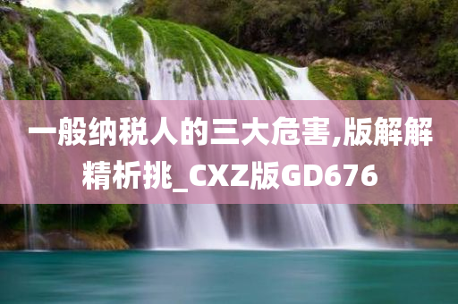 一般纳税人的三大危害,版解解精析挑_CXZ版GD676