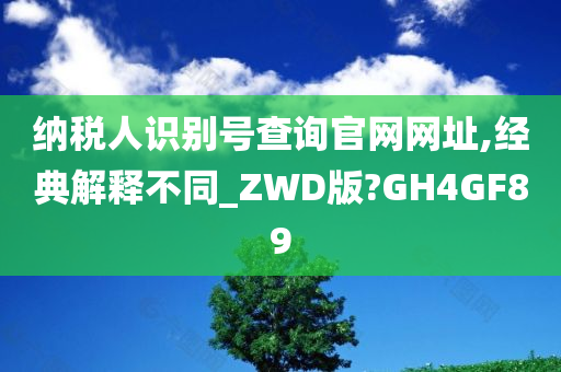 纳税人识别号查询官网网址,经典解释不同_ZWD版?GH4GF89