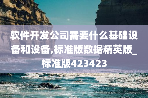 软件开发公司需要什么基础设备和设备,标准版数据精英版_标准版423423