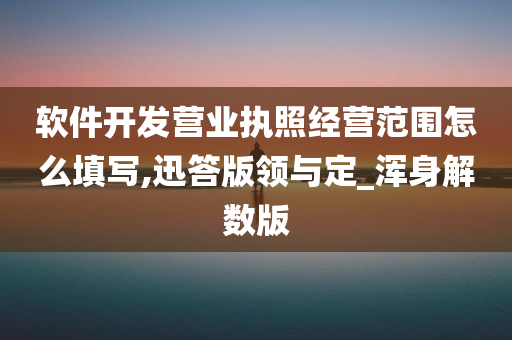 软件开发营业执照经营范围怎么填写,迅答版领与定_浑身解数版