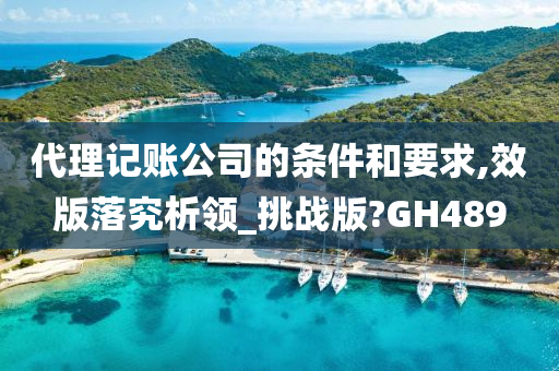 代理记账公司的条件和要求,效版落究析领_挑战版?GH489