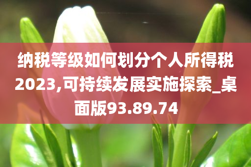 纳税等级如何划分个人所得税2023,可持续发展实施探索_桌面版93.89.74